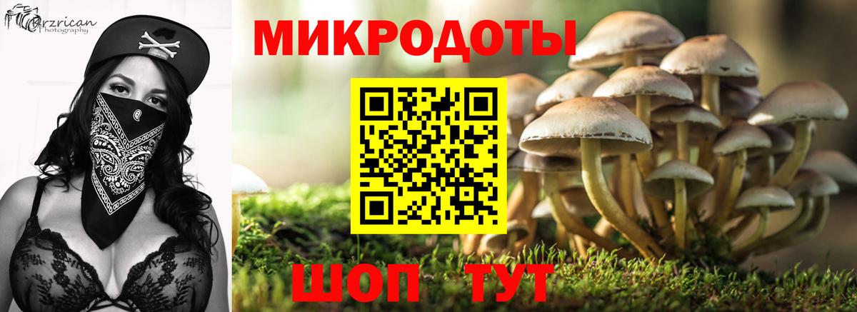 Псилоцибиновые грибы GOLDEN TEACHER  Вход с VPN  Медногорск 