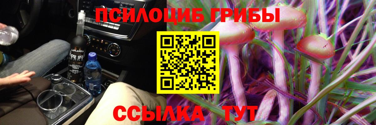 Псилоцибиновые грибы прущие грибы Медногорск